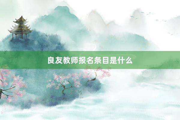 良友教师报名条目是什么
