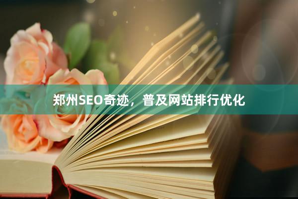 郑州SEO奇迹，普及网站排行优化