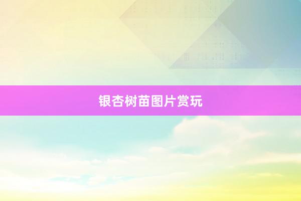 银杏树苗图片赏玩