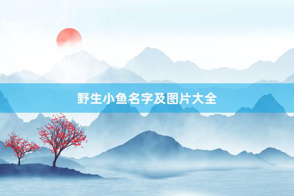 野生小鱼名字及图片大全